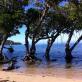 NOUVELLE CALEDONIE 5